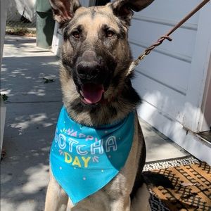 Meet your Posher, Debra